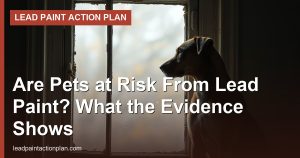 Are Pets at Risk From Lead Paint? What the Evidence Shows